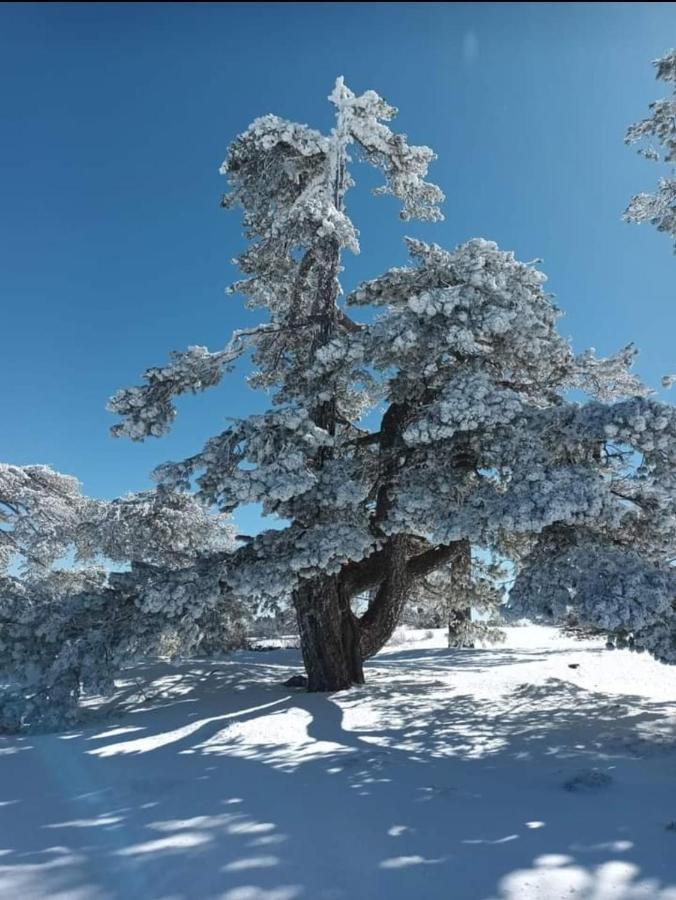 Alojamiento El Recreo Cazorla Dış mekan fotoğraf