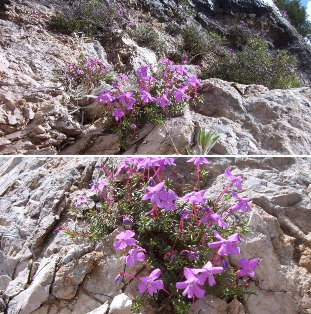 Alojamiento El Recreo Cazorla Dış mekan fotoğraf